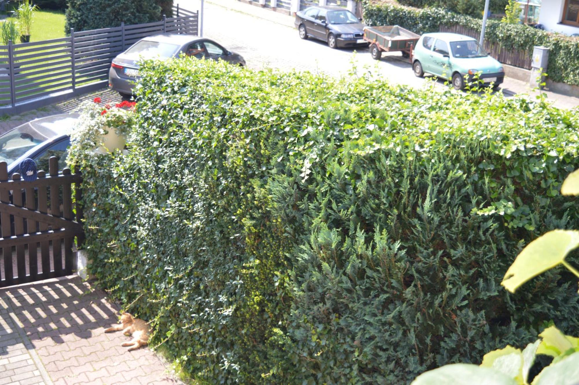 U Piotra Apartman Ustka Kültér fotó